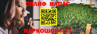 молекула духа Нальчик