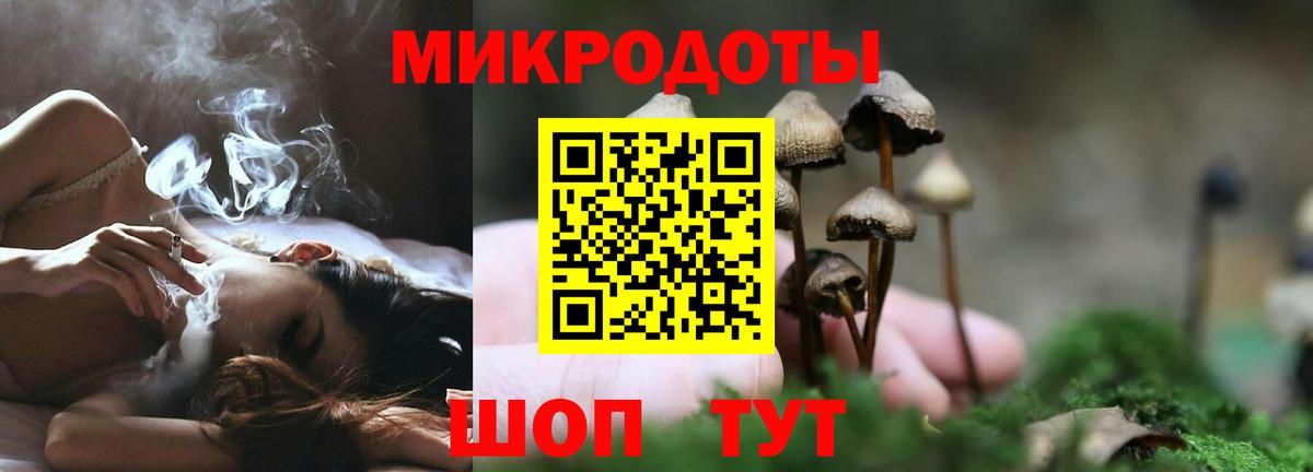 Псилоцибиновые грибы Cubensis  Вход с VPN  Псилоцибиновые грибы Psilocybe  Углич 